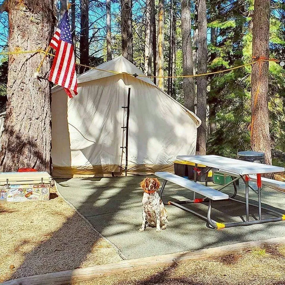 16'x24' Alpha Wall Tent