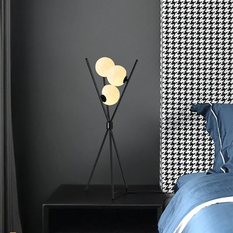 Black Floor Lamp and 3D Moon Lamp Shade