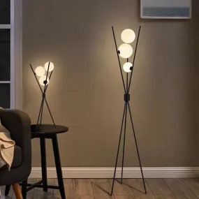 Black Floor Lamp and 3D Moon Lamp Shade