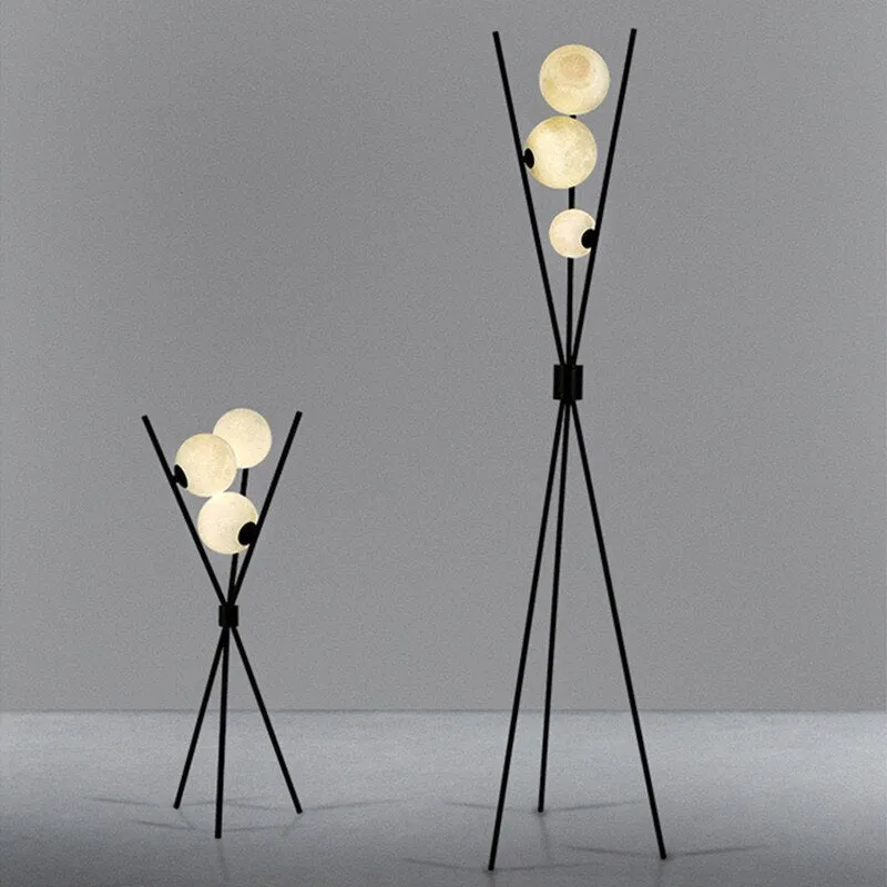 Black Floor Lamp and 3D Moon Lamp Shade