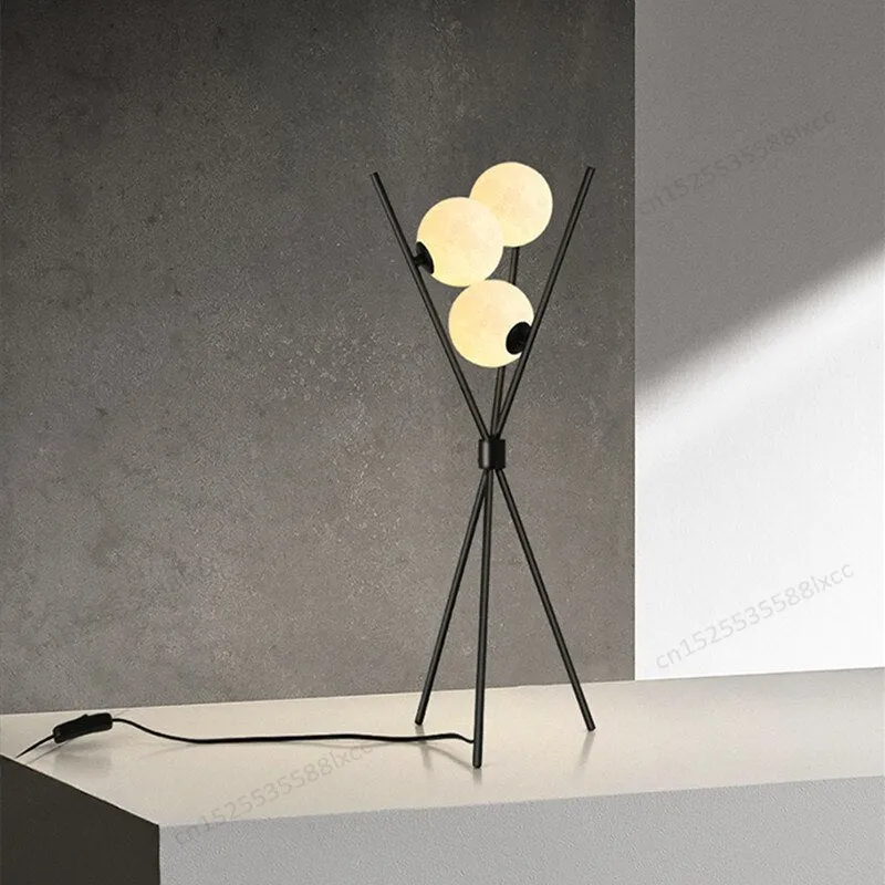 Black Floor Lamp and 3D Moon Lamp Shade