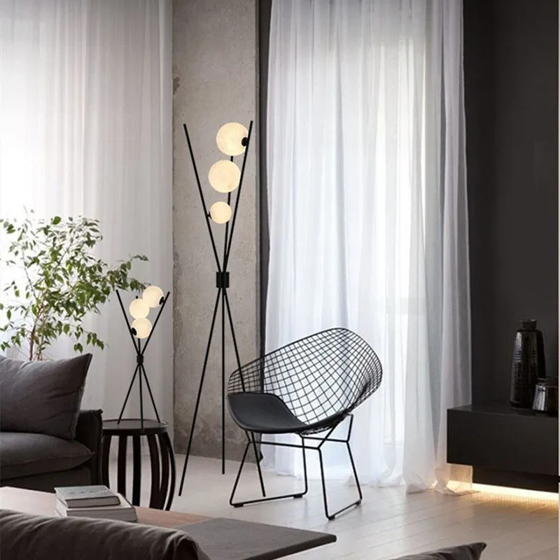 Black Floor Lamp and 3D Moon Lamp Shade