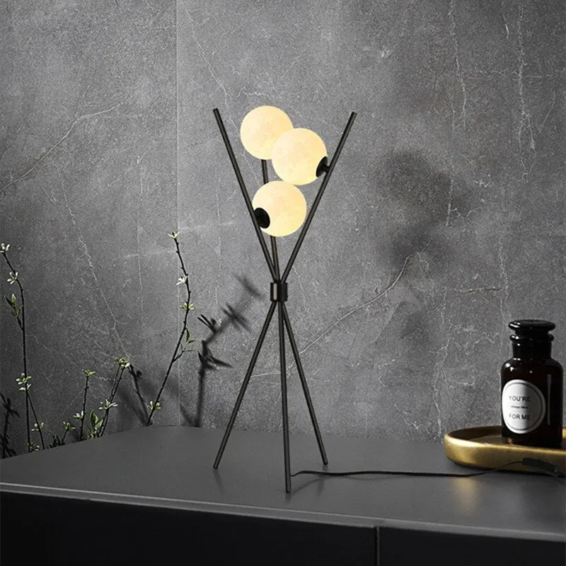 Black Floor Lamp and 3D Moon Lamp Shade