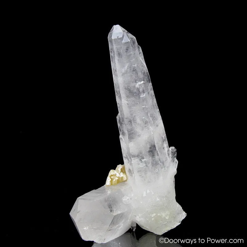 Diamantina Laser Quartz Twin Crystal Cluster 'Old Soul' w/ Record Keeper Master Starbrary