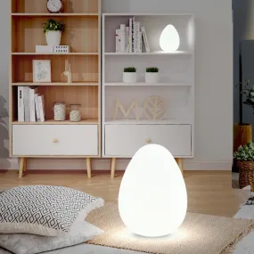 Egg Lamp