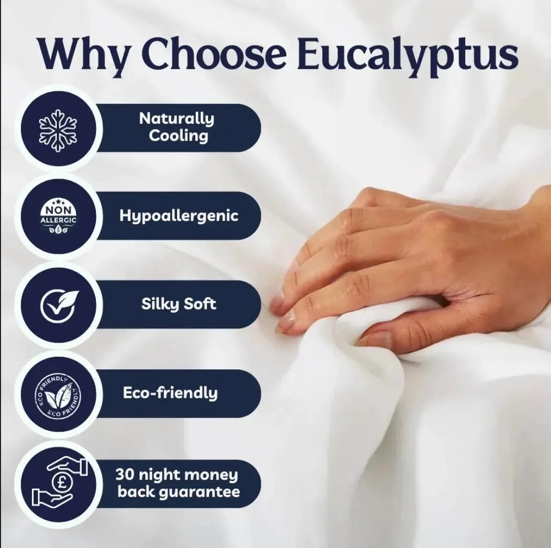 Eucalyptus Silk Pillowcases - 2 Pack