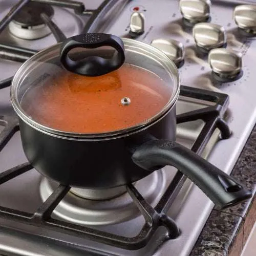 Evolve Saucepan With Glass Lid - Ecolution