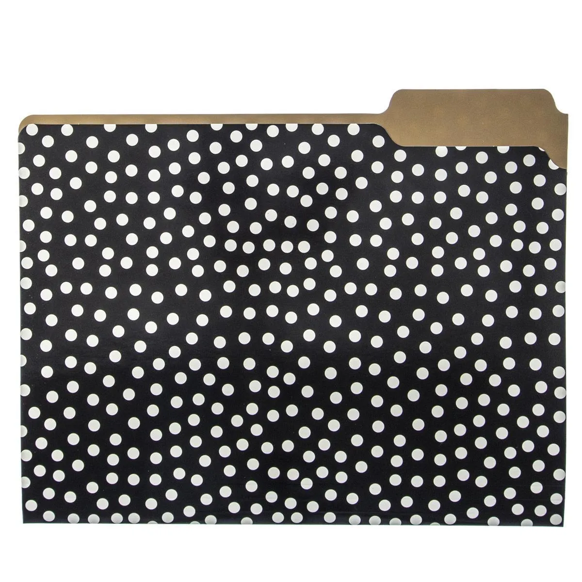 Gold Dots File Folder Set