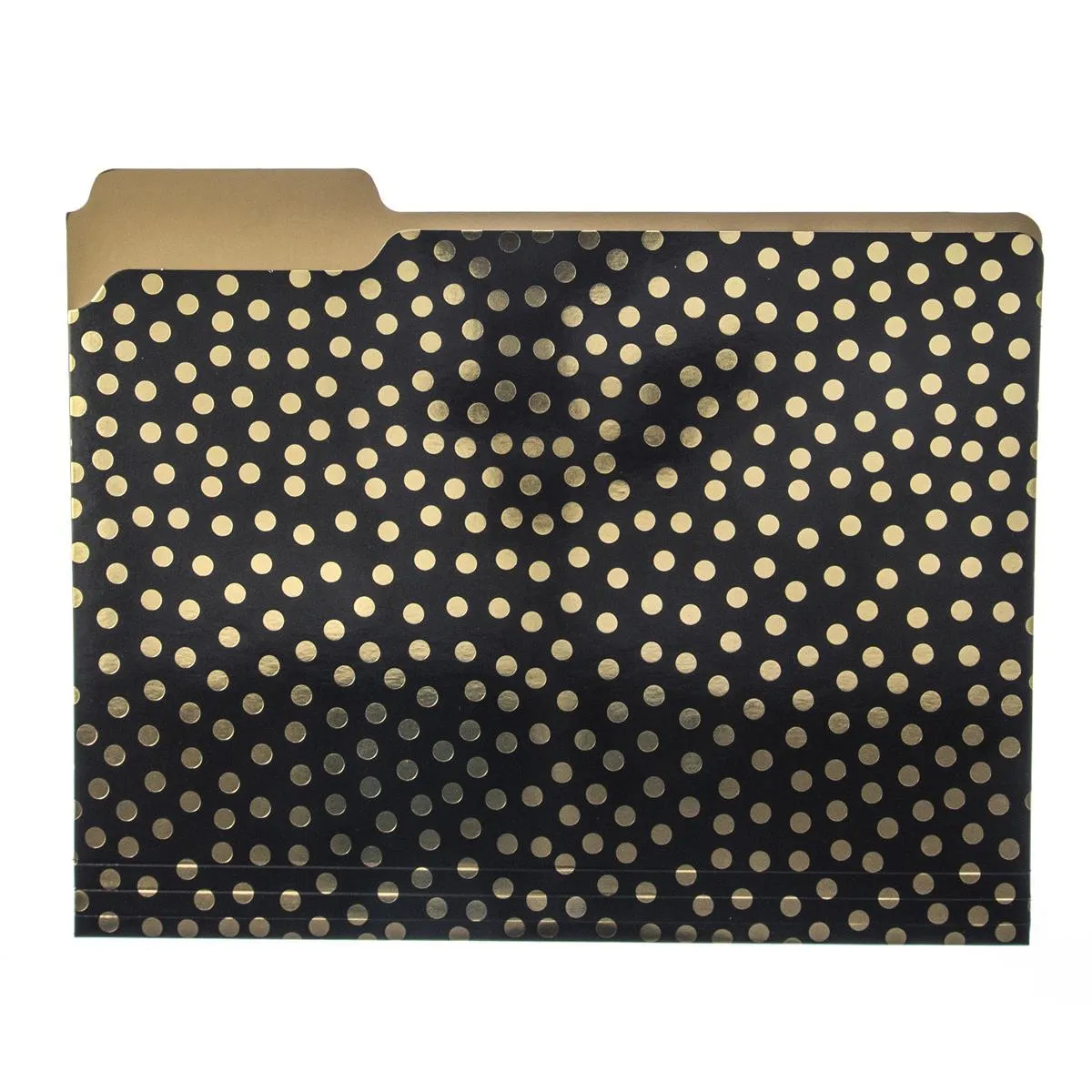 Gold Dots File Folder Set