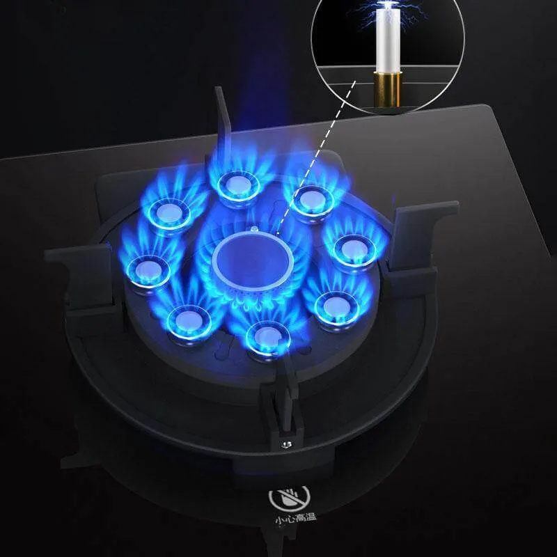 Liftable Double Gas Stove