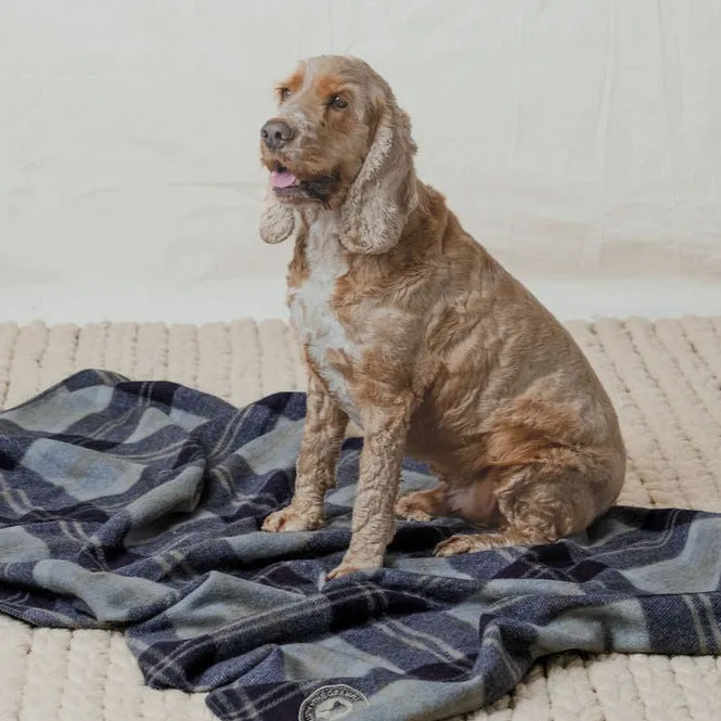 Pet Blanket | Navy