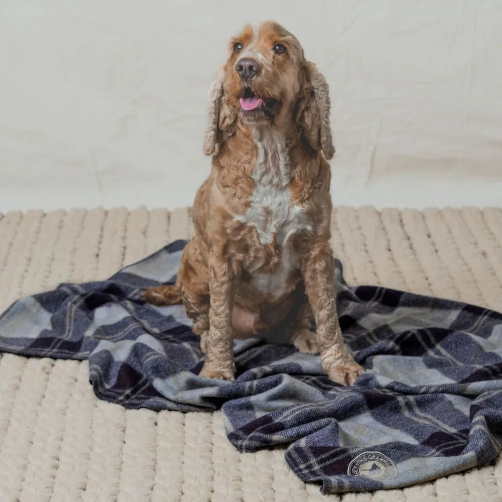 Pet Blanket | Navy