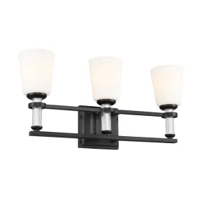 Rosalind 24 in. 3 Lights Vanity Light Black finish