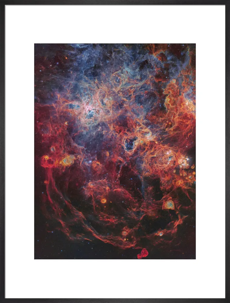 The Majestic Tarantula Nebula (Custom Print)