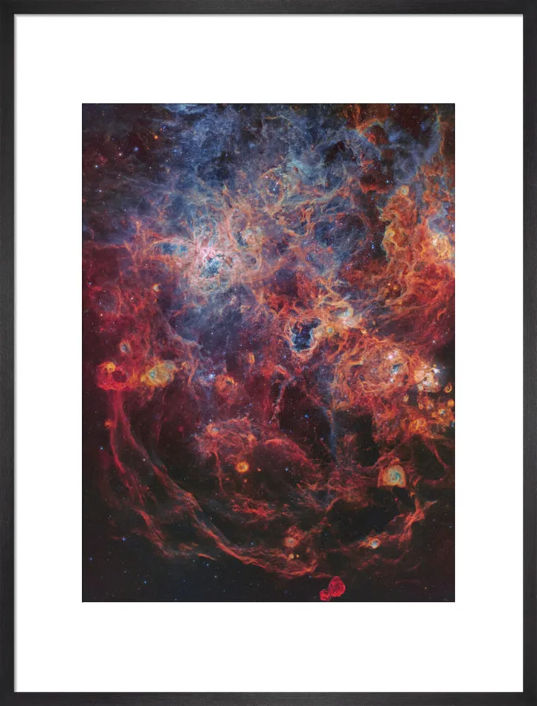 The Majestic Tarantula Nebula (Custom Print)