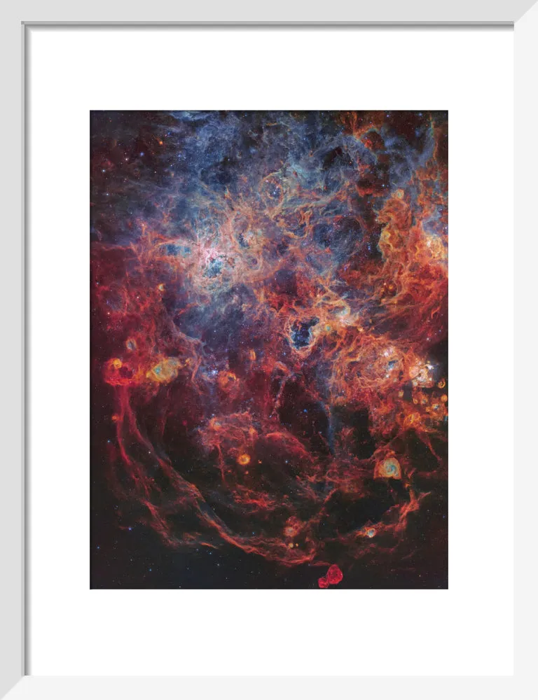 The Majestic Tarantula Nebula (Custom Print)