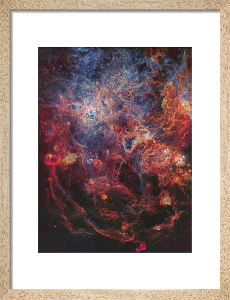 The Majestic Tarantula Nebula (Custom Print)