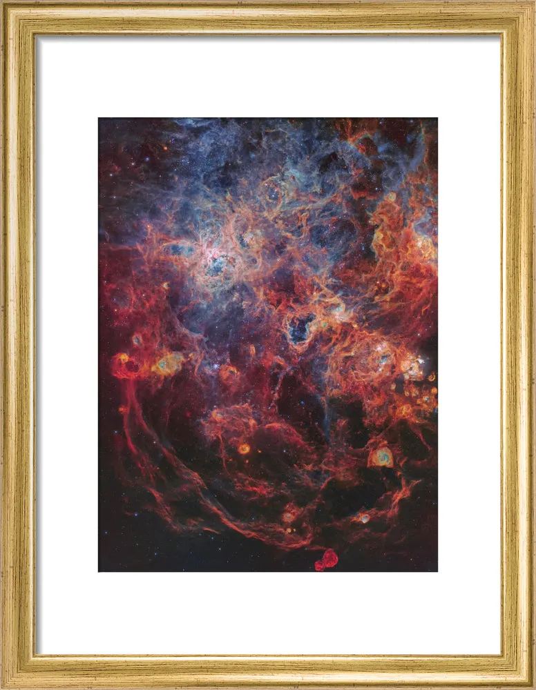 The Majestic Tarantula Nebula (Custom Print)