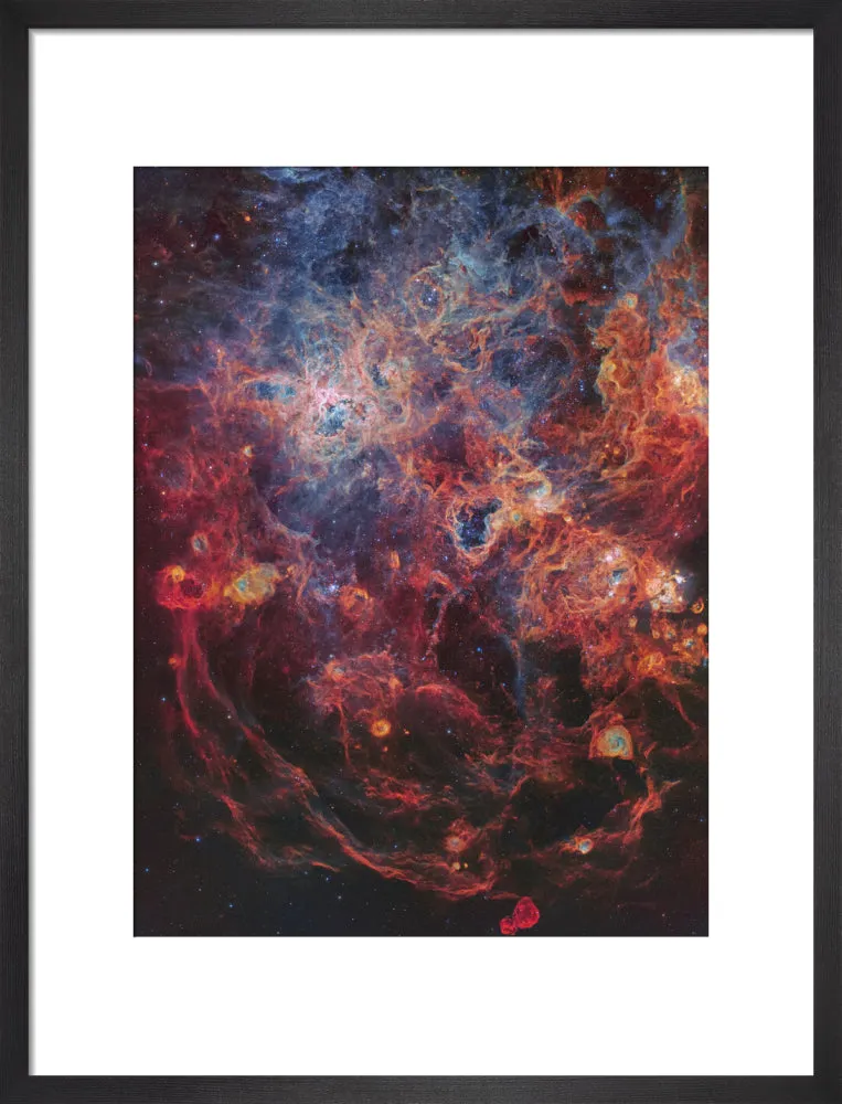 The Majestic Tarantula Nebula (Custom Print)