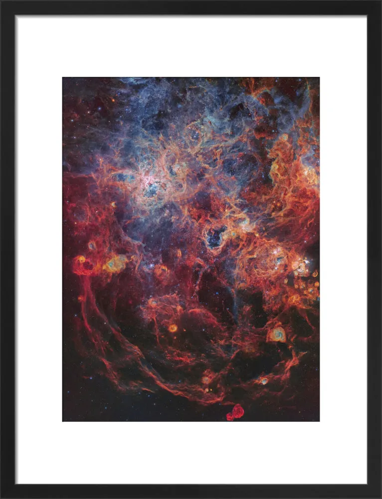 The Majestic Tarantula Nebula (Custom Print)