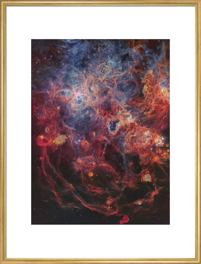 The Majestic Tarantula Nebula (Custom Print)