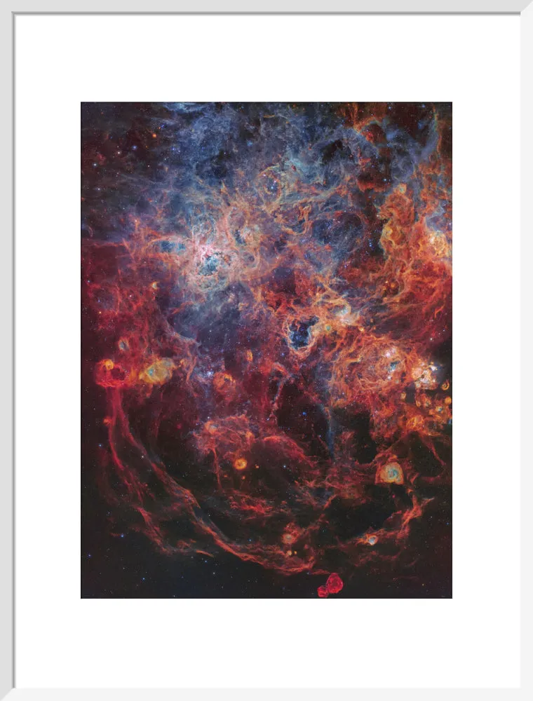 The Majestic Tarantula Nebula (Custom Print)