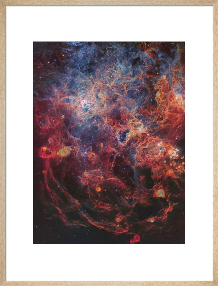 The Majestic Tarantula Nebula (Custom Print)