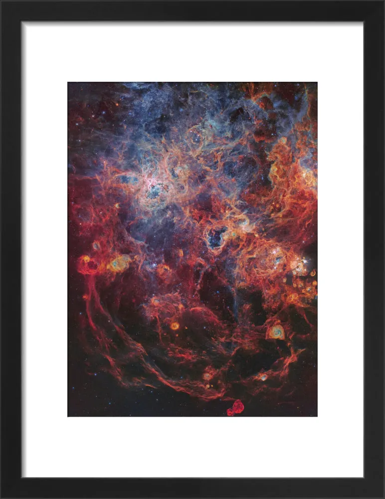 The Majestic Tarantula Nebula (Custom Print)