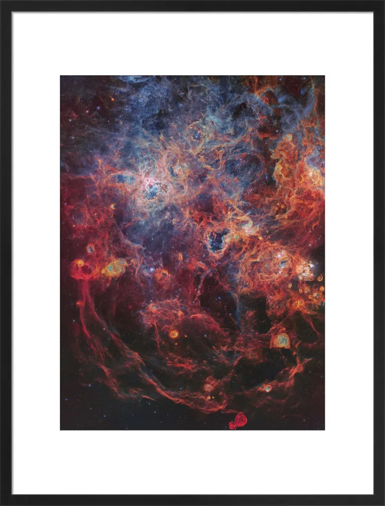 The Majestic Tarantula Nebula (Custom Print)