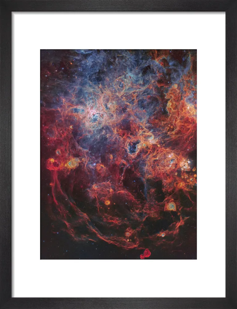 The Majestic Tarantula Nebula (Custom Print)