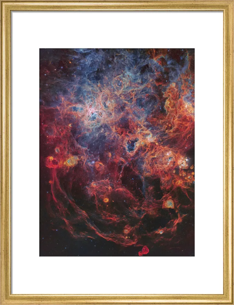 The Majestic Tarantula Nebula (Custom Print)