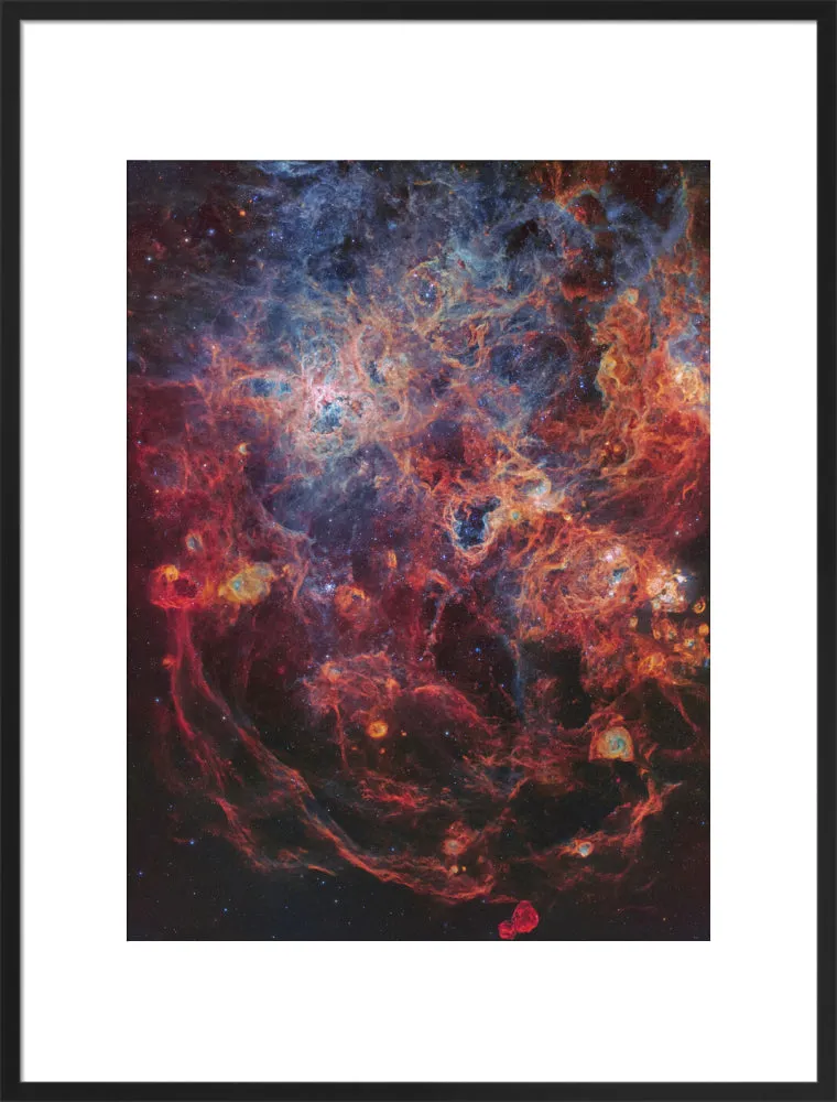 The Majestic Tarantula Nebula (Custom Print)