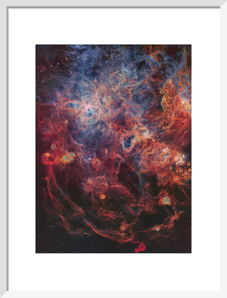 The Majestic Tarantula Nebula (Custom Print)