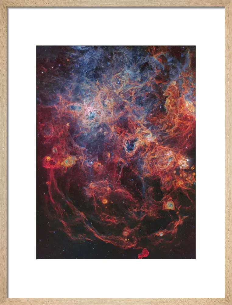 The Majestic Tarantula Nebula (Custom Print)